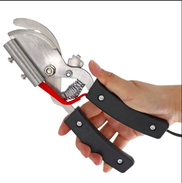 Related Product Image